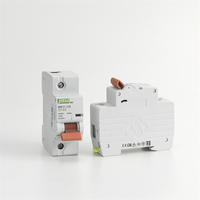 Disyuntor miniatura industrial inteligente de 2 polos 32A
